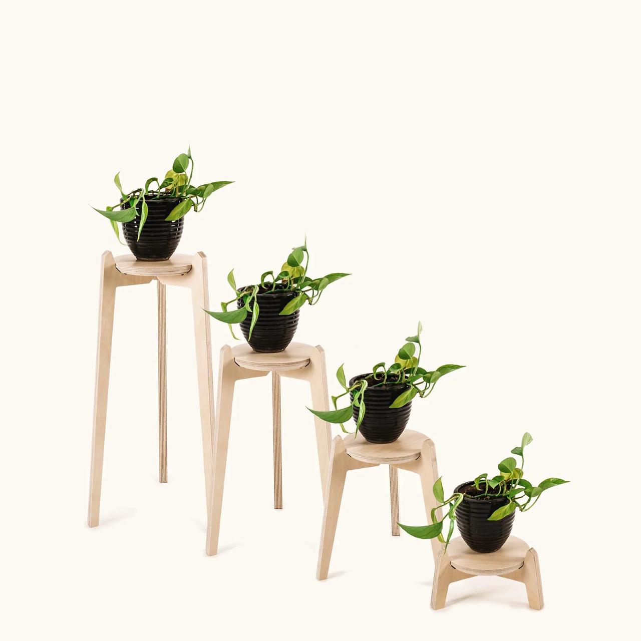 Japanese-Style Indoor Display Plant Stand - Iron - Baked Enamel Finish - ApolloBox Japanese-Style Indoor Display Plant Stand - Iron - Baked Enamel Finish - ApolloBox